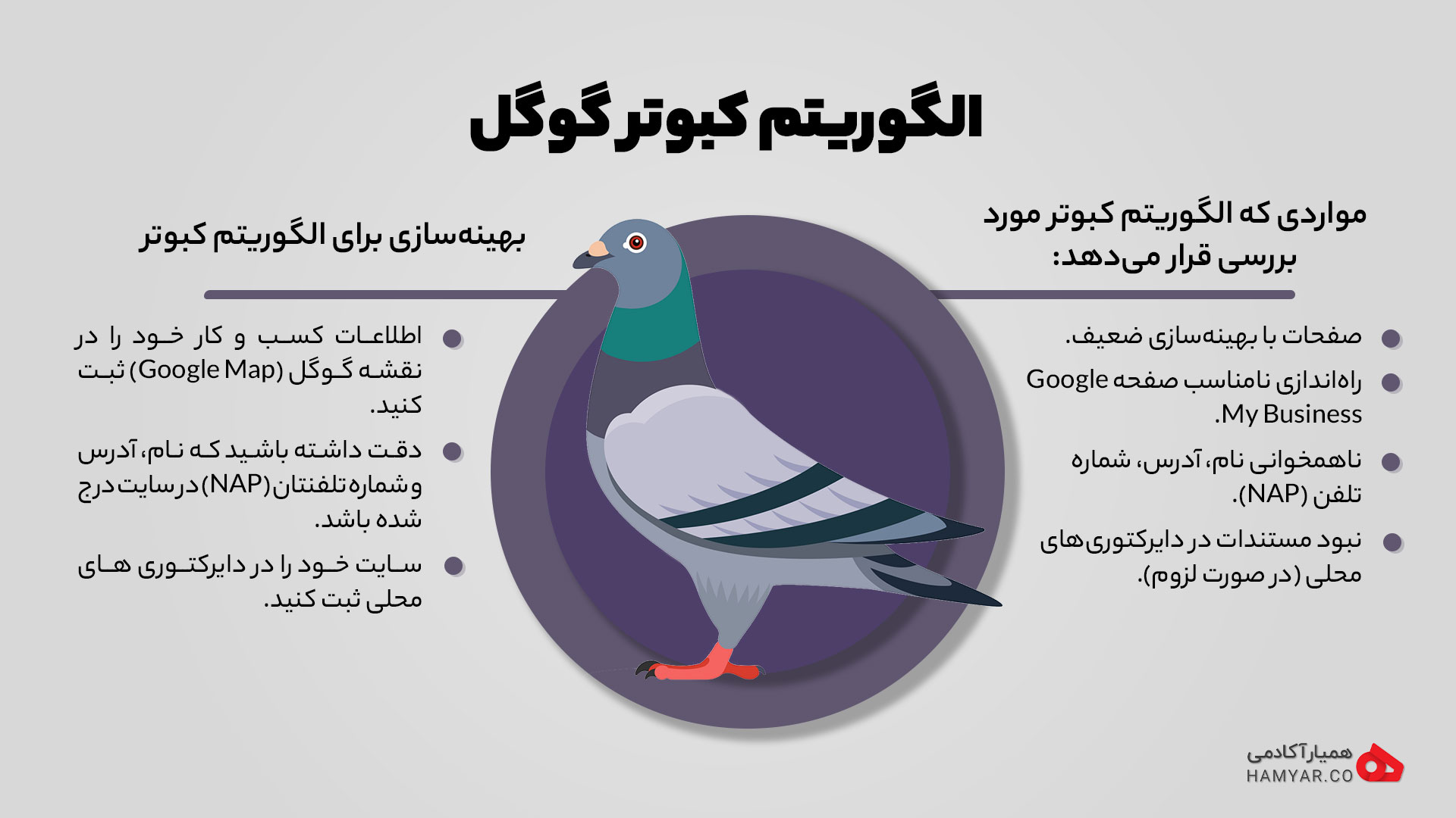 همه چیز درباره‌ی الگوریتم کبوتر گوگل