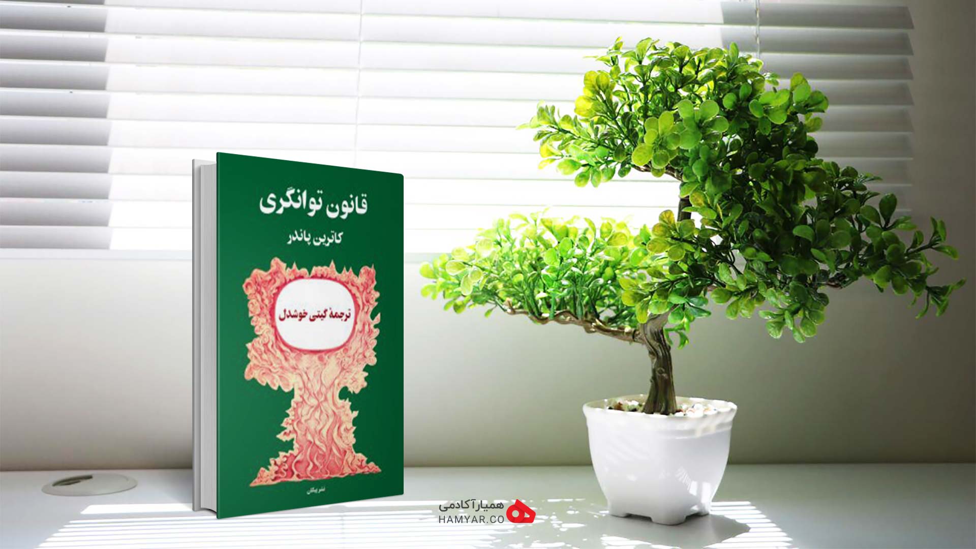 کتاب قانون توانگری