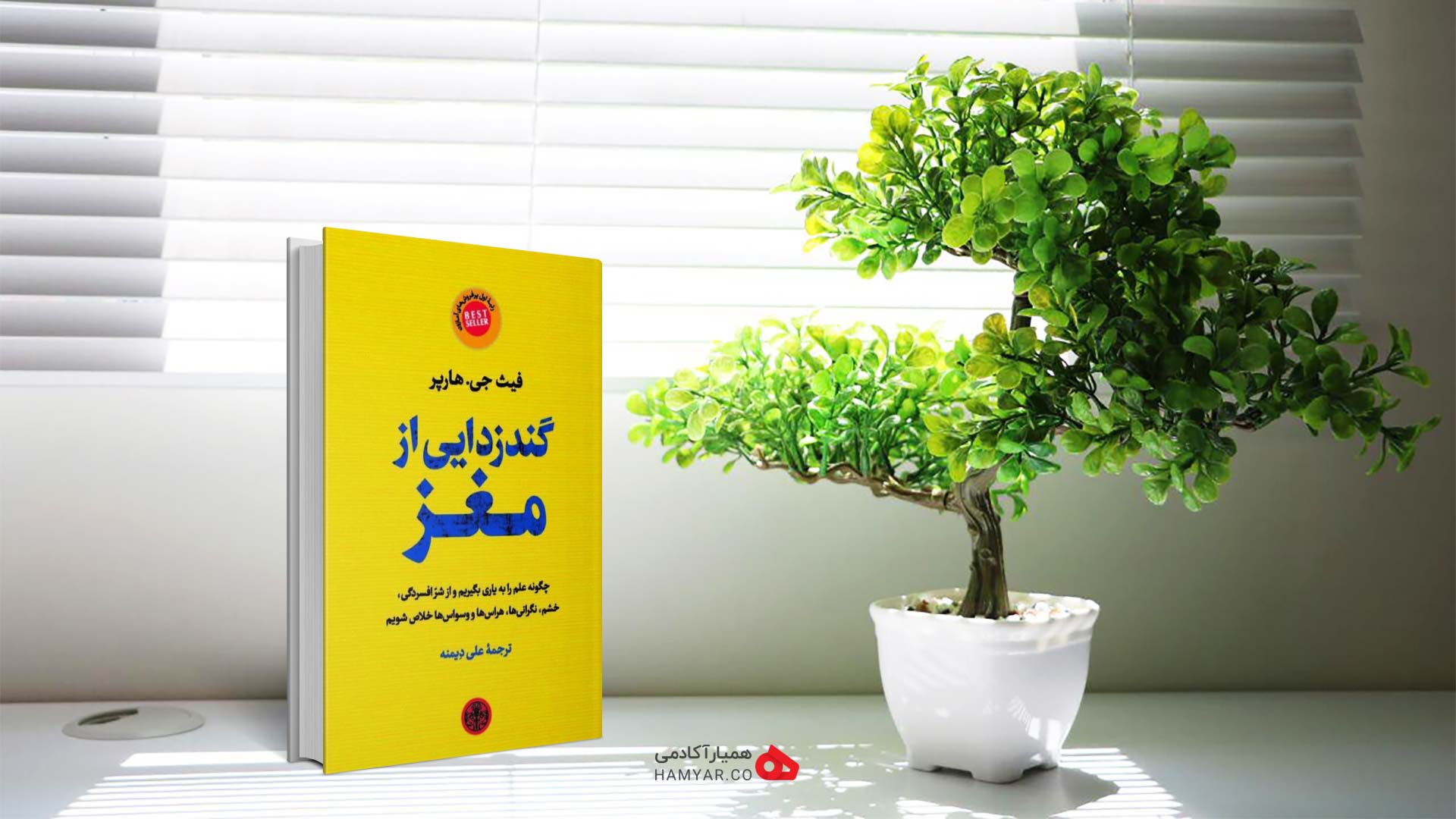 کتاب گندزدایی از مغز